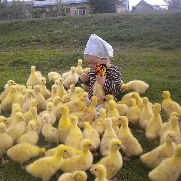 Uglyduckwtf's tweet photo. Are you quacking ready for a competition⁉️ add a caption to the image👇🏽and be as crazy with it as you like!

Let’s have some fun! Comment your ETH address with your entry and you might be the lucky winner of 20k duck-coins🎉

#uglyduckwtf #duckarmy #NFTartwork #NFTCommunity #NFTs https://t.co/s0N9CpL5YT
