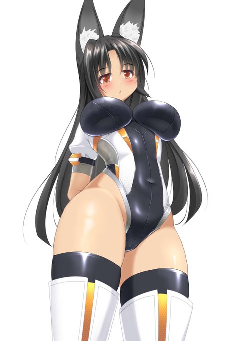 見上げて楽しむウチの子シリーズ:クロ 