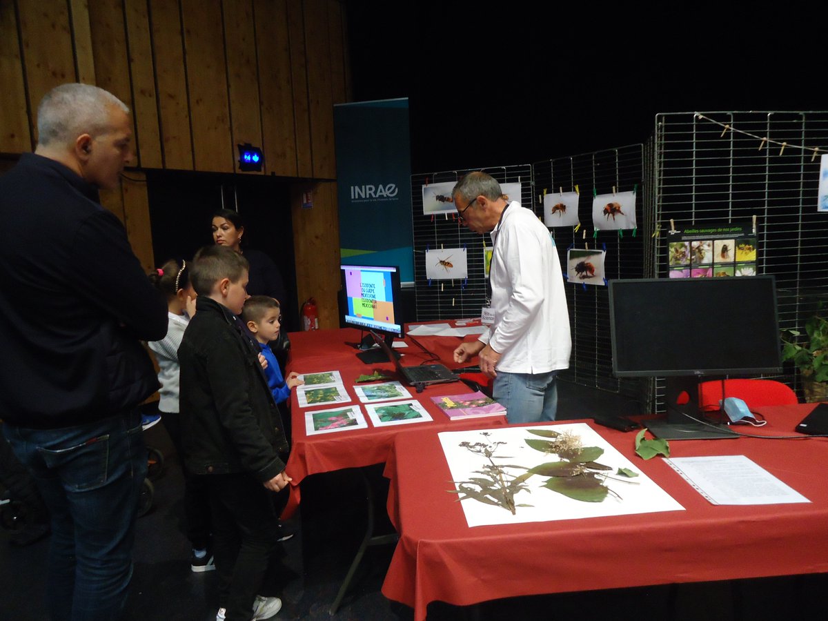 ⏰🌍Retour en images sur la #FDS2022 à <a href="/villecolmar/">Ville de Colmar</a>
🔬🪰L'occasion pour le public d'apprendre à reconnaitre diverses espèces invasives et de découvrir les travaux menés par l'équipe AGISEM de @umr_lae sur les interactions plantes-pollinisateurs. Un vrai succès👏! <a href="/Nefdessciences/">la Nef des sciences</a>