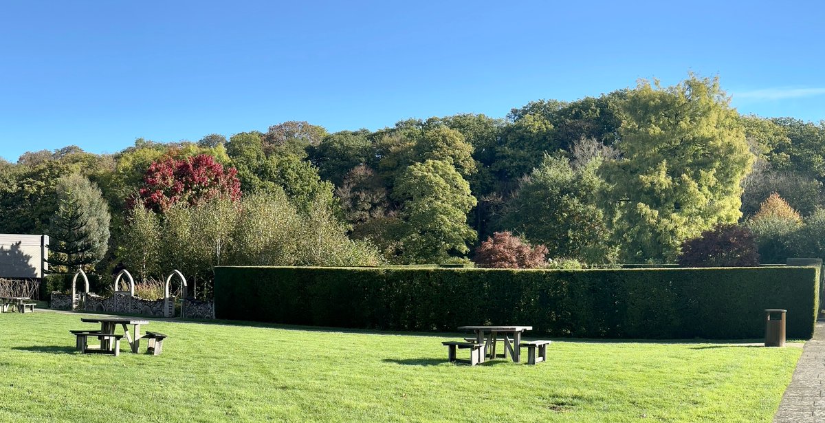 Buckfast_Abbey's tweet photo. Such a beautiful October day with autumn colours appearing all around the grounds. #autumncolours @Buckfast_Abbey @VisitDevon @VisitDartmoor @visitsouthdevon #benedictinemonastery https://t.co/MalmoaGgHh