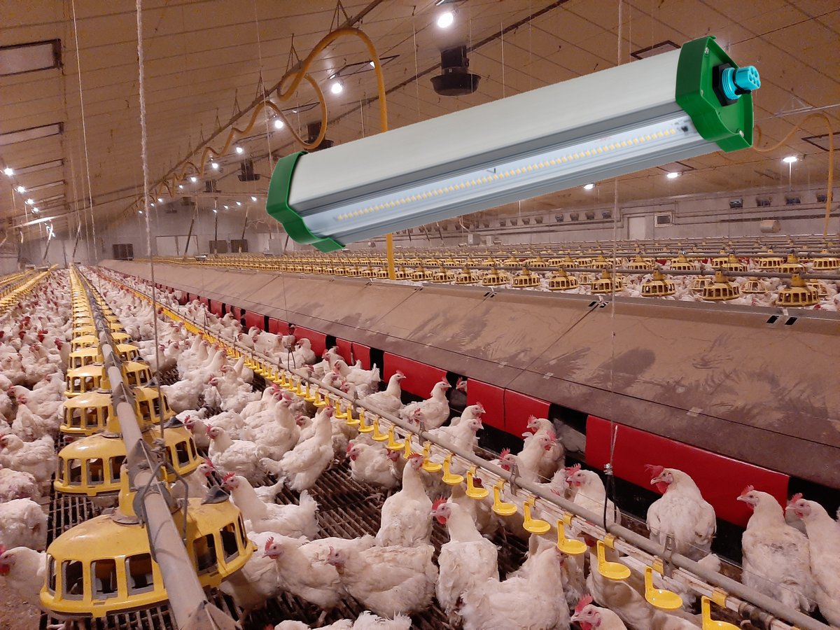 Agrilight B.V. tweet media