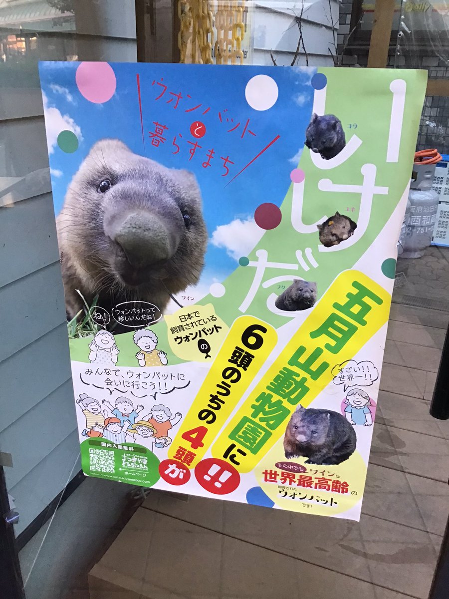 ikedacraft2020's tweet photo. ✨✨10/22(土)はウォンバットの日✨✨

池田市五月山公園でウォンバットいっぱいのイベントが開催されます😳
⚠️小雨決行(雨天の場合10/23開催)

ウォンバットマルシェ、ウォンバットクイズラリー、ウォンバットのお面作りなどなど盛り沢山😳ウォンバット顔選手権も⁉️

ぜひ足を運んでみてください🔆 https://t.co/zcNHsp7kHh