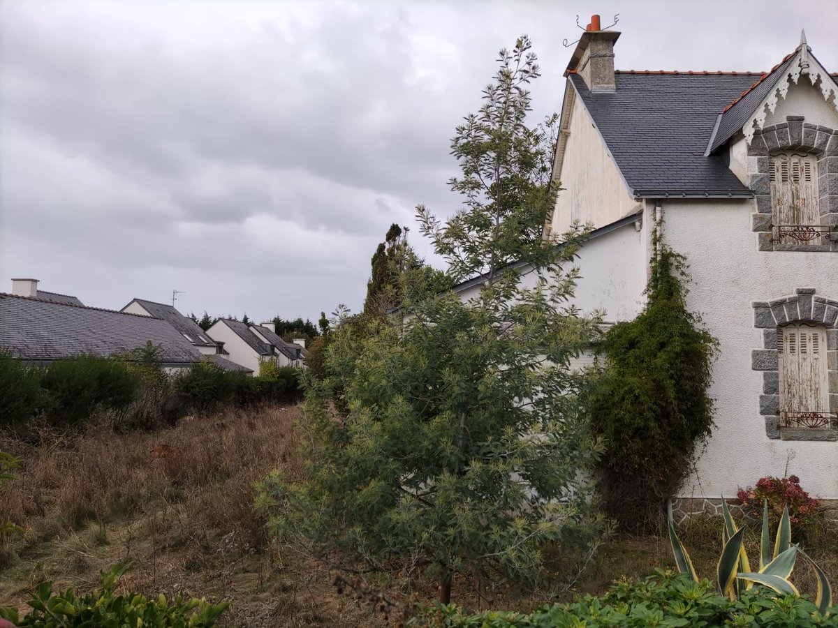 A Quiberon <a href="/EPFBretagne/">EPF Bretagne</a>  profite d'une nouvelle équipe pour préparer la prochaine phase de travaux qui amènera la construction de 18 logts sur cette parcelle !
Merci au lama d'encadrer son équipe pour permettre une réalisation de qualité !
#ecopaturage #foncier