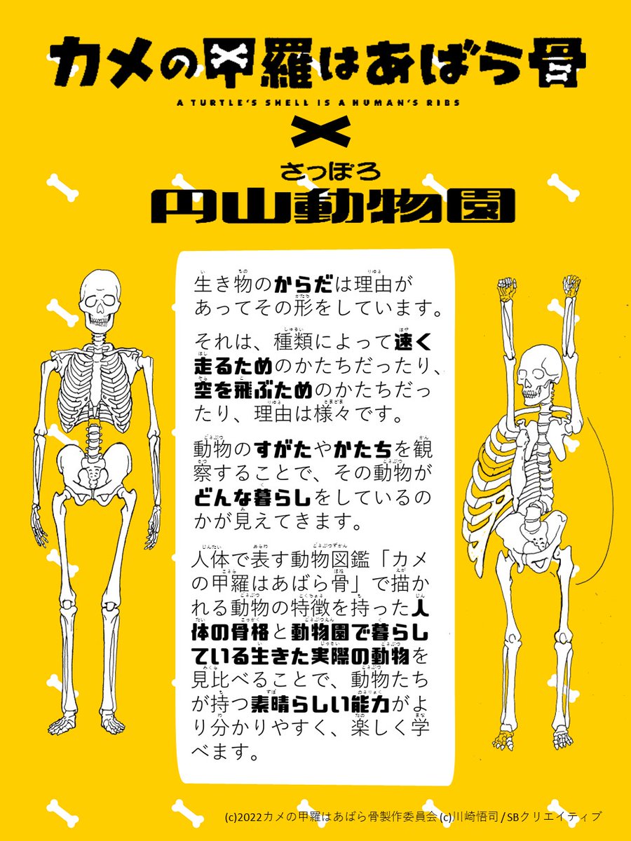 Tweets With Replies By ミライハウスショップ 京都市動物園東門店 Miraihouseshop Twitter