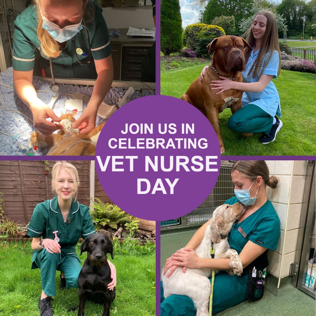 Royal Veterinary College (RVC) on Twitter "🐾 Join us today as we celebrate our amazing