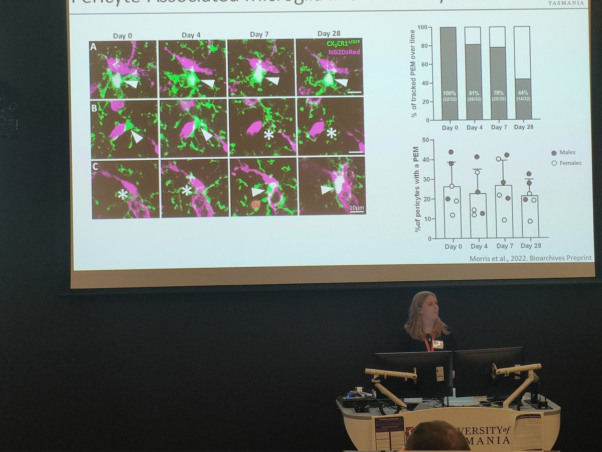 Jenna Ziebell tweet media