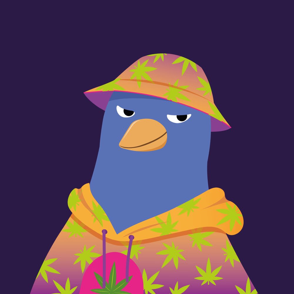 BlueBird Gangster 🌕 tweet media