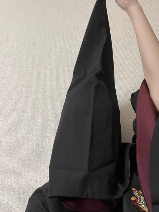 ハリポタのローブってめちゃめちゃフード長いよな笑 