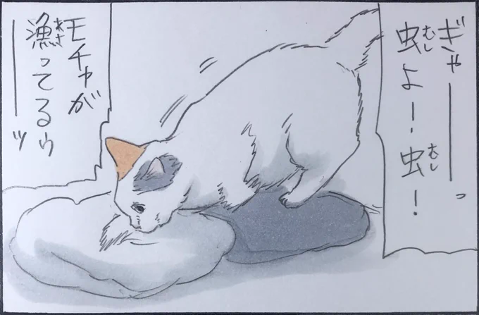 『パニック』 
