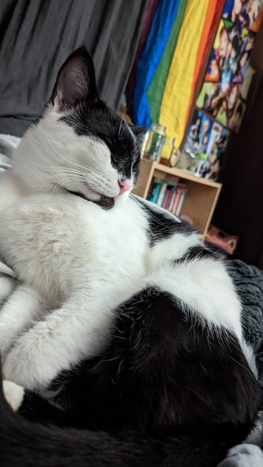 Too tired from work to make content so have a Tommy pic https://t.co/wQoccWc27O<a href="/tag/nude"class="tags"><span>#nude</span></a><a href="/tag/queer"class="tags"><span>#queer</span></a><a href="/tag/trans"class="tags"><span>#trans</span></a><a href="/tag/ftm"class="tags"><span>#ftm</span></a>