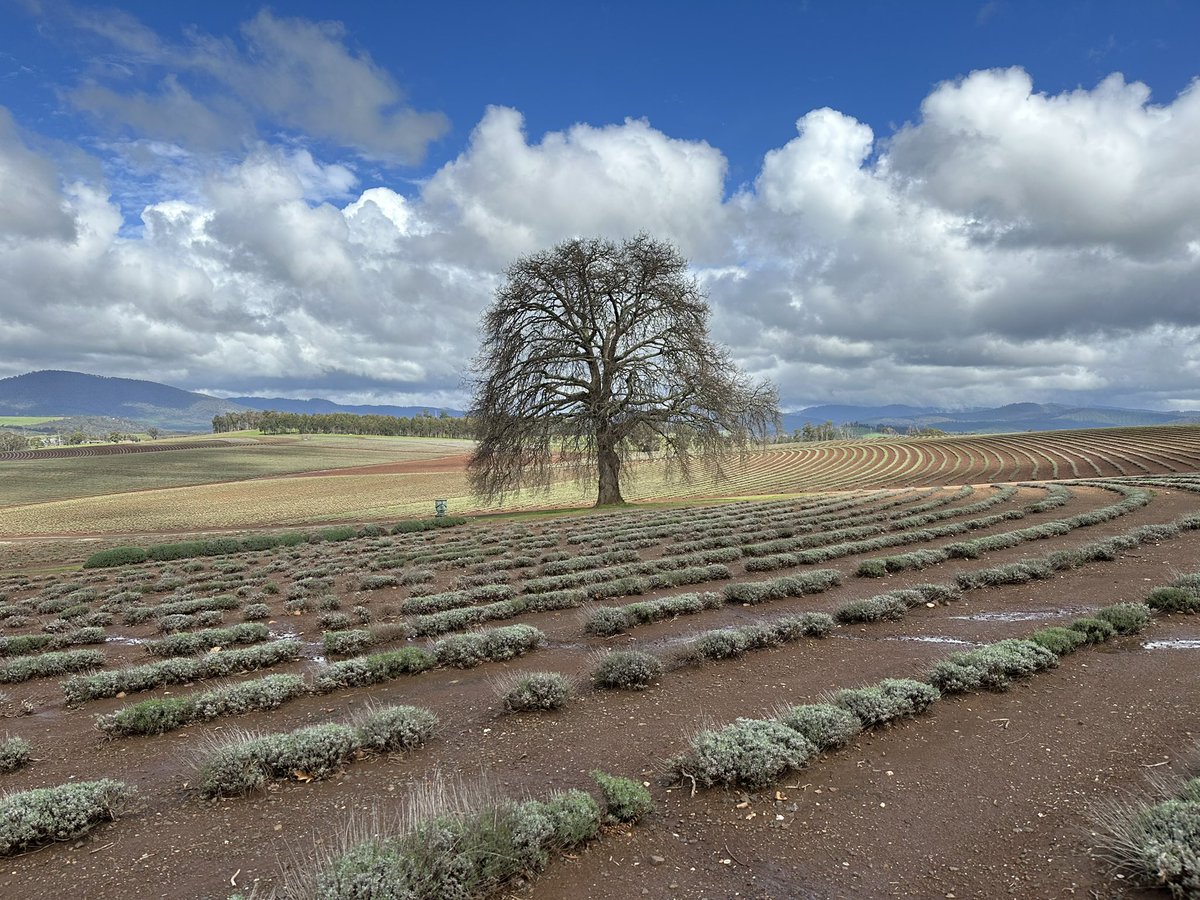 It’s starting to look a bit green