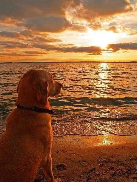 𝗔𝗿𝘁𝗶𝘀𝘁𝗶𝗰 ❦ tweet media