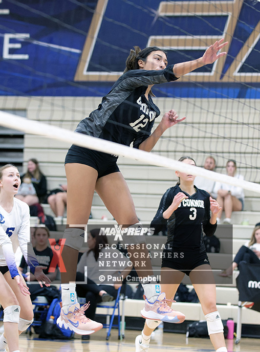 AzSpiritOfSport's tweet photo. MaxPreps coverage of High School Volleyball – Basha at O’Connor; (Photo 1 in the Basha @ O'Connor Photo Gallery (119 Photos) | MaxPreps); #BashaBearNation; #DVUSD; #MaxPrepsPR; #AzPreps365; #AxSpiritOfSports https://t.co/UWq4bE6Y42