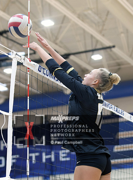 AzSpiritOfSport's tweet photo. MaxPreps coverage of High School Volleyball – Basha at O’Connor; (Photo 1 in the Basha @ O'Connor Photo Gallery (119 Photos) | MaxPreps); #BashaBearNation; #DVUSD; #MaxPrepsPR; #AzPreps365; #AxSpiritOfSports https://t.co/UWq4bE6Y42