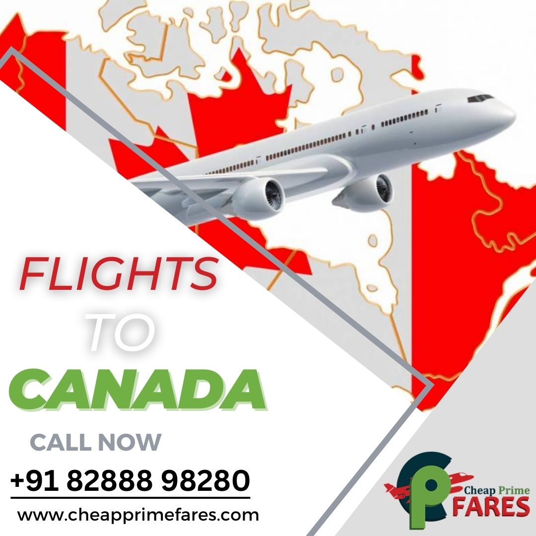 PrimeFares's tweet photo. Looking for Cheap flights to Canada.
✈Enjoy Best Deals on #Flight #Tickets Bookings #Canada
Call: +91 82888 98280|+1(812)813-44573
Visit: https://t.co/bSsCUEwcVl
#FlightTicket #TicketBooking #International #AirTicket #Traveling #travel #flights #torontoflight #delhitotoronto https://t.co/s0sEmsO5qS