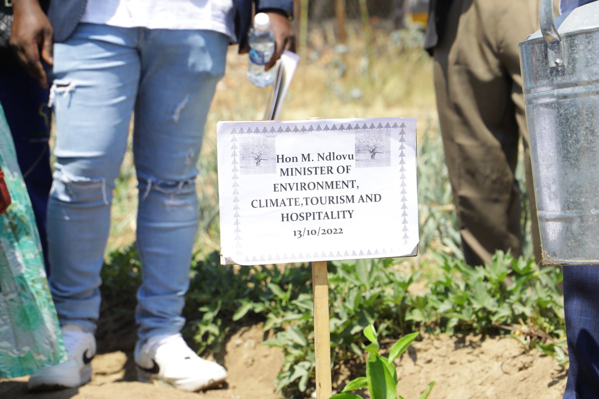 VoyagesAfriq's tweet photo. #VoyagesAfriq Minister of  @METHI_Zimbabwe 🇿🇼 Nqobizitha Mangaliso Ndlovu yesterday officiated at two tree planting events on the sidelines of the Sanganai/Hlanganani World Tourism Expo which were hosted by Insukamini and Hugh Beadle Primary Schools in Bulawayo. https://t.co/LIip89fEKr