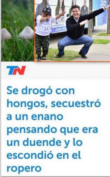 PerrosLluvia's tweet photo. Nada que ver... https://t.co/2EoONdX2K3