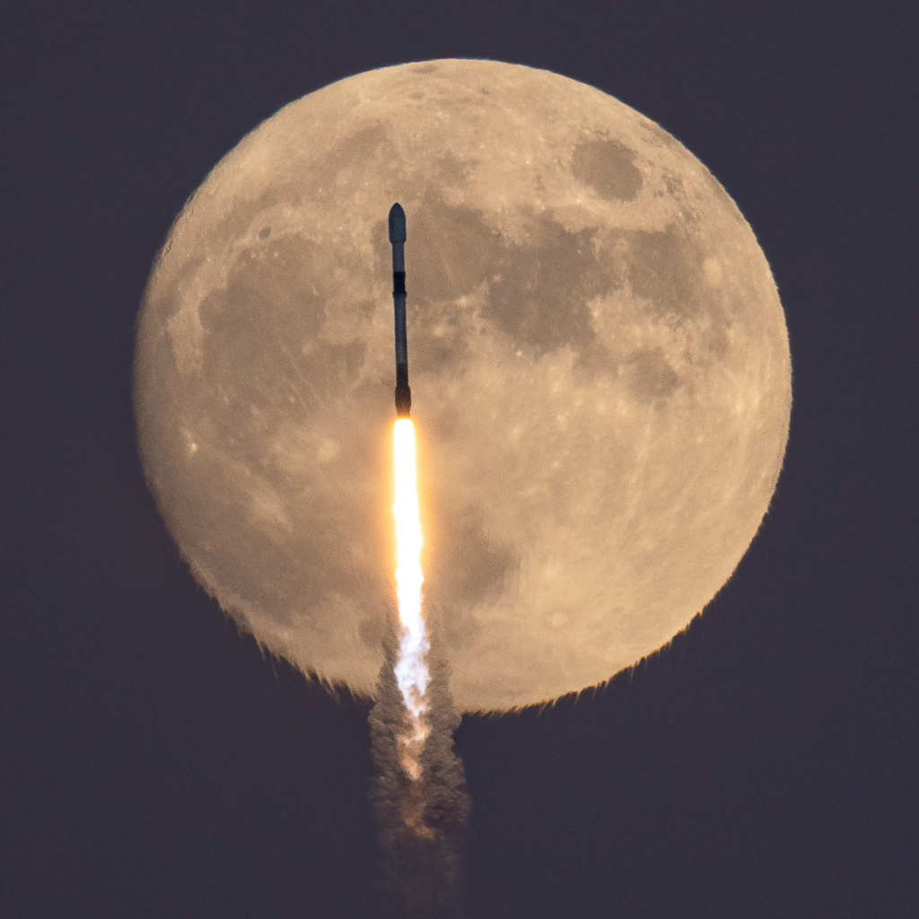 jacuartero's tweet photo. The Falcon and the Hunter s Moon https://t.co/9lFC5NX2XJ https://t.co/yg1rEYKRMX