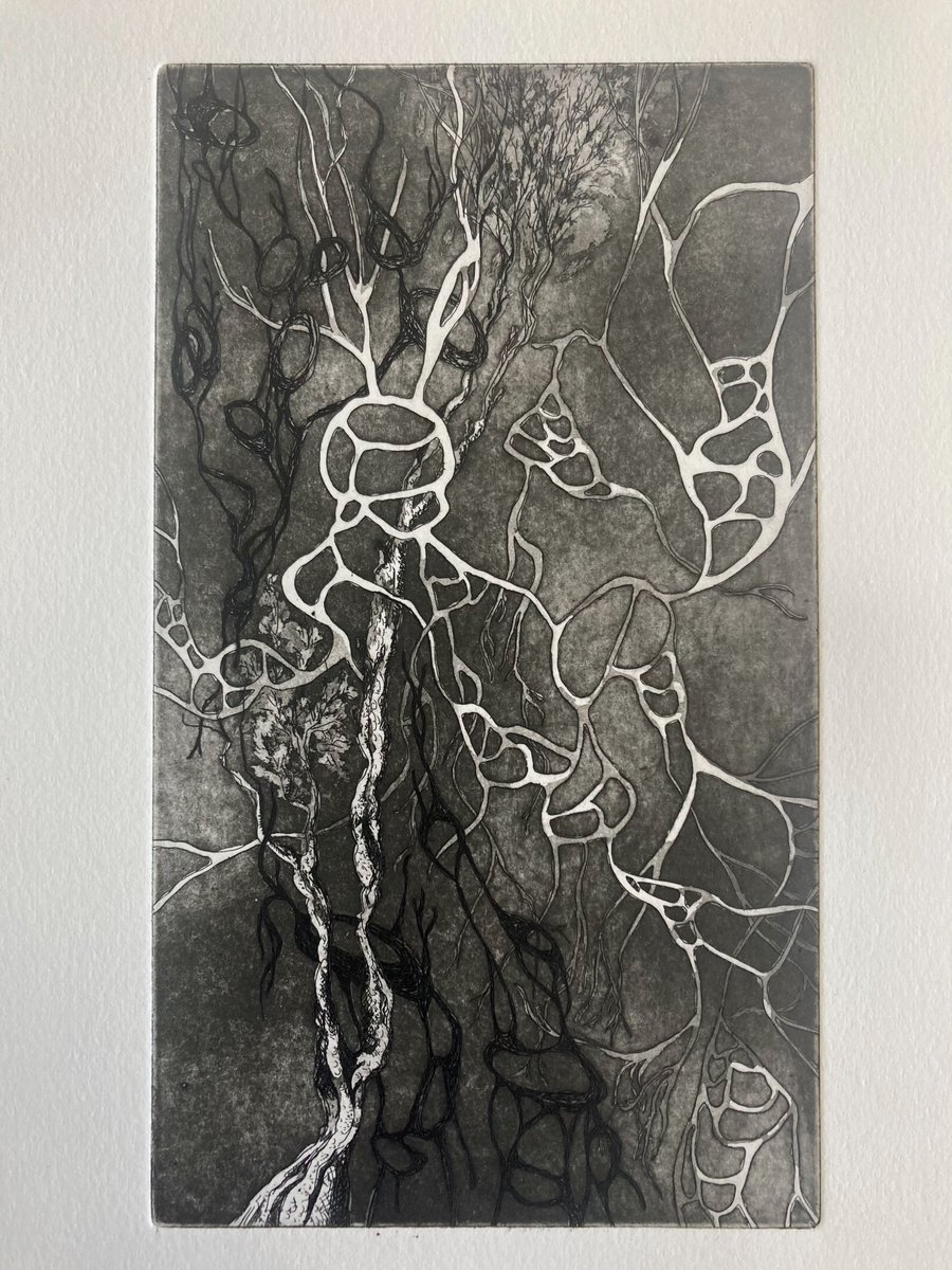 WaltervanTeeffe's tweet photo. A'damse kunstenaar Vivian Mac Gillavry https://t.co/eBWCE538FH #vivianmacgillavry #ndsmfuse @Iamsterdam @AmsterdamKunst #natureart #botanicalart #AGALAB @followrietveld @artietamicitiae @VUamsterdam @Bvl6Community #art @HardHoofd @ifthenisnow https://t.co/3M8nvf1bOG