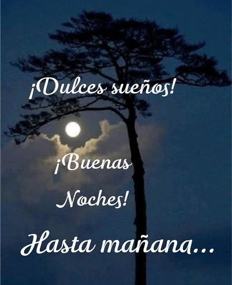 PepeNaranjo1's tweet photo. #Hoy #AlDía #ÚltimaHora #AlMomento #Jueves #13deOctubre2022 #Colima @ColimaMunicipio #EstadoDeColima 

🌔 ¡BUENA NOCHE, DULCES SUEÑOS! https://t.co/6cwGOG8B77