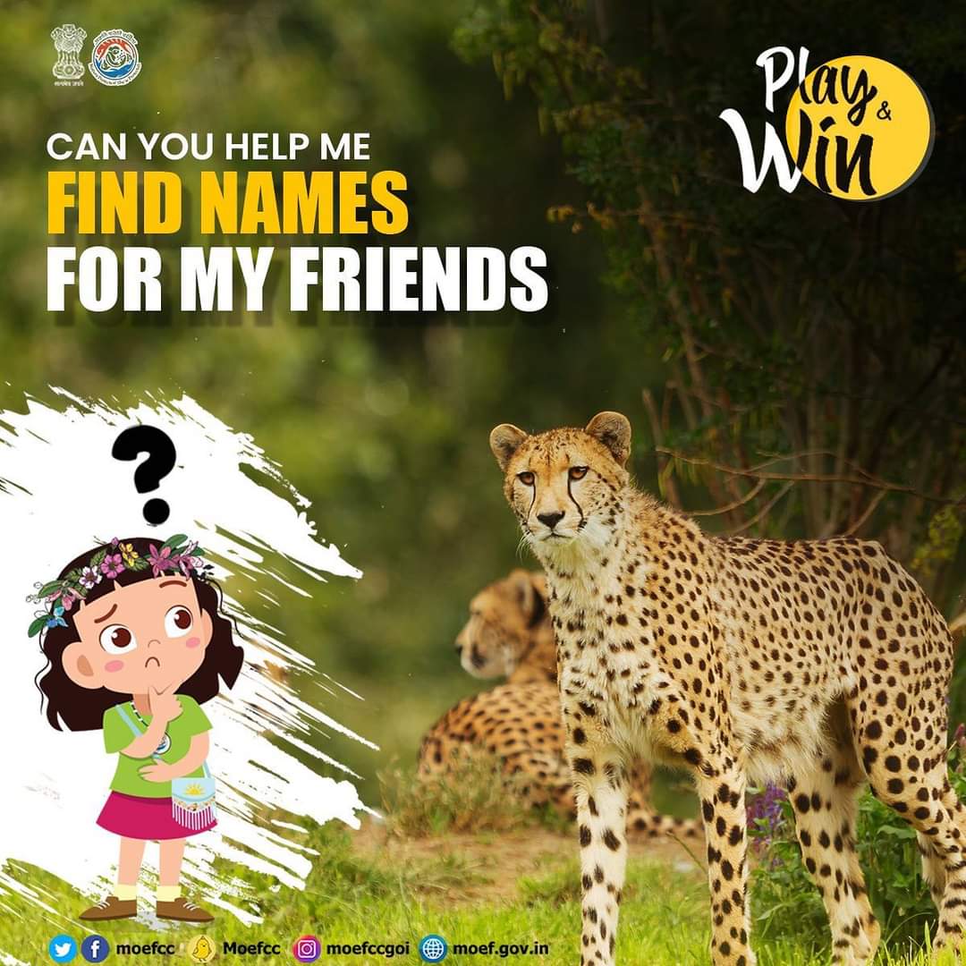 Here are few interesting names 'Jorawar' 'Rocky' 'Devsena' which we have received for our dear Cheetahs! Send us your suggestions and win a chance to see the Cheetahs! Send the names here: mygov.in/cheetahnames/ @moefcc @kramesh95 @wii_india @CAMPAdugong_WII