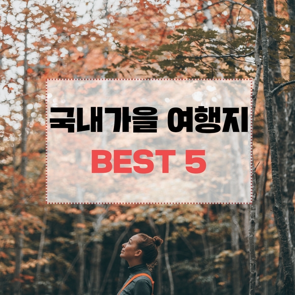 AIRTNTOFFICIAL's tweet photo. 2022 가을 가족여행 국내 여행지 추천!🍁🍂
자세한내용은👉https://t.co/GYJjFPaRwE

#airtnt #AirTnT #tnt #여행 #여행스타그램 #여행이좋다 #여행지추천 #여행중독 #소통해요 #꿀팁공유 #여행다녀왔습니다 #혼자여�� #여행준비 #여행꿀팁 #해외여행 #국내여행 #축제 #여행에미치다 https://t.co/SrNUds4Uem