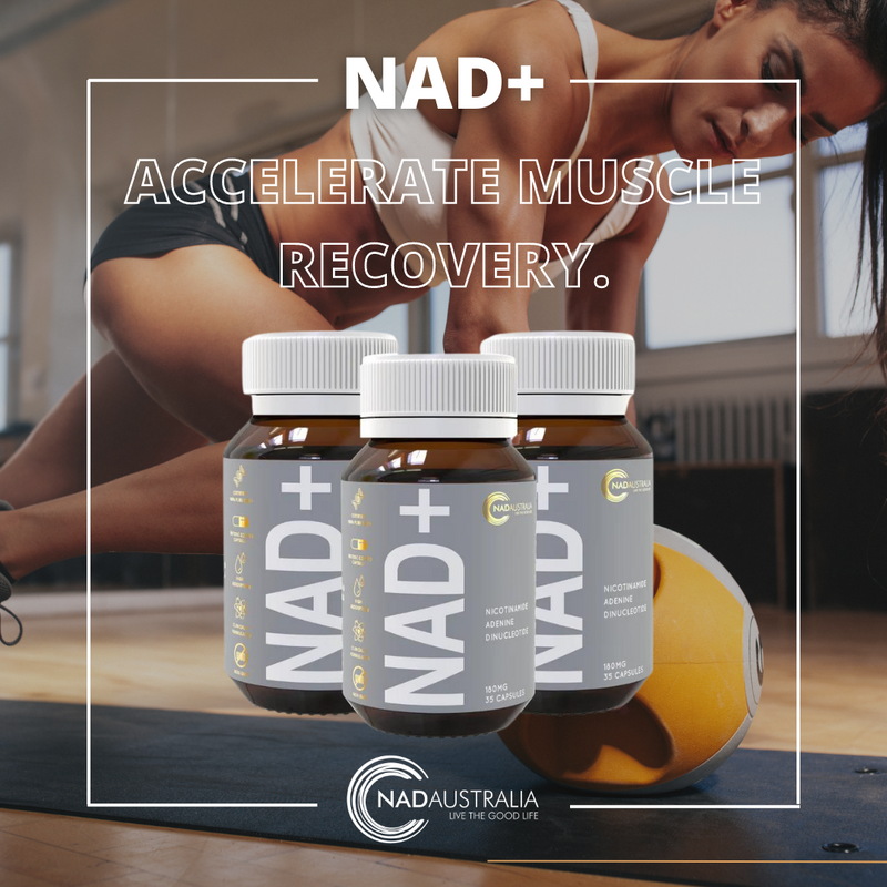 NAD_Aus's tweet image. NAD+ actively works on a cellular level to rejuvenate, repair and optimise peak mental, physical and emotional wellbeing. 

Shop here: ⬇️
nadaustralia.com/products/nad-h… 

#21Days #21DayProgram #LiveTheGoodLife #NADAustralia #NADSupplement