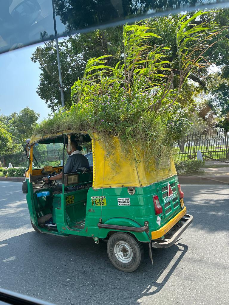 supriyasahuias's tweet photo. Just clicked by a friend at India Gate today in Delhi, Mahendra Kumar,an enterprising auto driver,has grown a mini garden on the roof of his auto to protect himself & passengers from the heat creating a mini AC effect. Amazing Indians 😊 #climateaction #coolauto https://t.co/5civ50MBQI