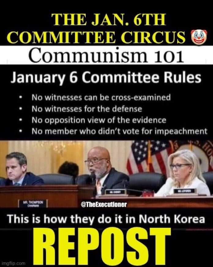 MEGA ULTRA MAGA 🍊🍊🍊🍊 tweet media