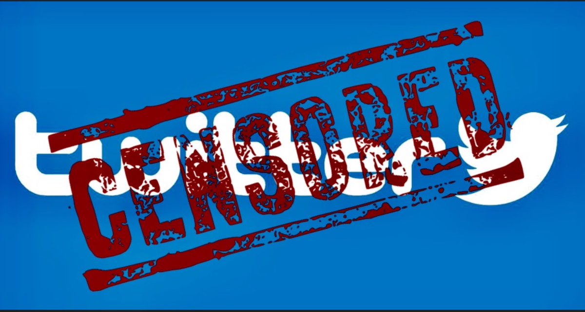 AlaskanPatriot_'s tweet photo. #TwitterBrownshirts are purging conservatives, yet again and just in time the Nov. 8th midterm elections.
#TwitterElectionInterference
#TheseBigTechFascistsAreSick https://t.co/aOePB6pIwQ
