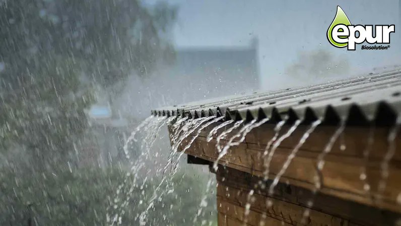 Bevil_sprl's tweet photo. Difficile d'oublier la 𝐬𝐞́𝐜𝐡𝐞𝐫𝐞𝐬𝐬𝐞 de cette été... 🔥
1m² de #toiture peut rapporter 600 L d' #eau par an, pensez y !💦
🔹 Dispo dans vos magasins de bricolage et ici : https://t.co/c2WnqKDHUX 🔹

Continuez à protéger notre planète grâce au traitement Eaux de #Pluie. 💧 https://t.co/wrU3880bj2
