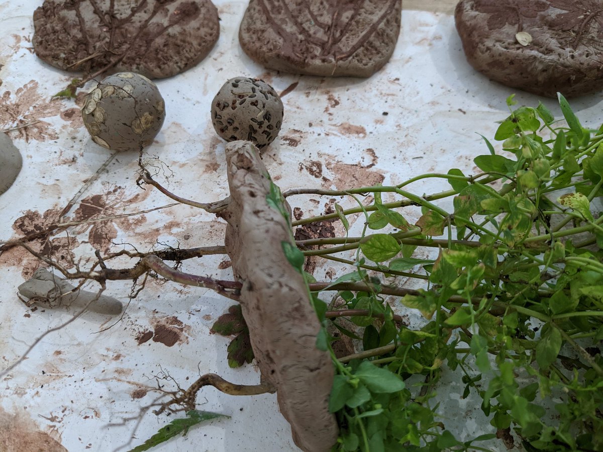 SoilVoices's tweet photo. #soil is both above and below. Making new #soilstories with #HelenAcklam, @LeselDawson, @JBrigstocke @JimScown Prof Louise Steel @UWTSD and more. #savesoil @Soil_Science @uksoils #Soilawarenessweek https://t.co/7UT5PBnl7J