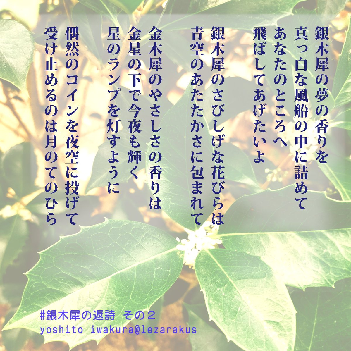 金木犀※プロフィール見てください。 金木犀｜スタッフブログ｜総合デザイン制作の株式会社 像形