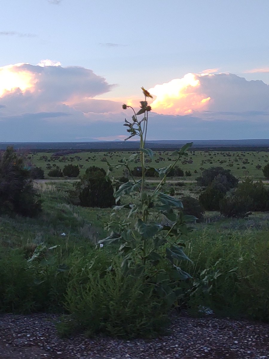 Solidarity can #strong. Independence can be #beautiful. #tobeornotobe