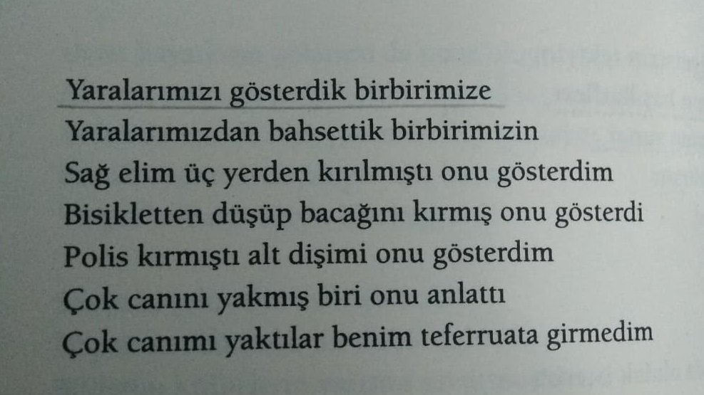 güllere ve devlete inanmanın kanattığı yerden (@hafifmesrepkvl) on Twitter photo 