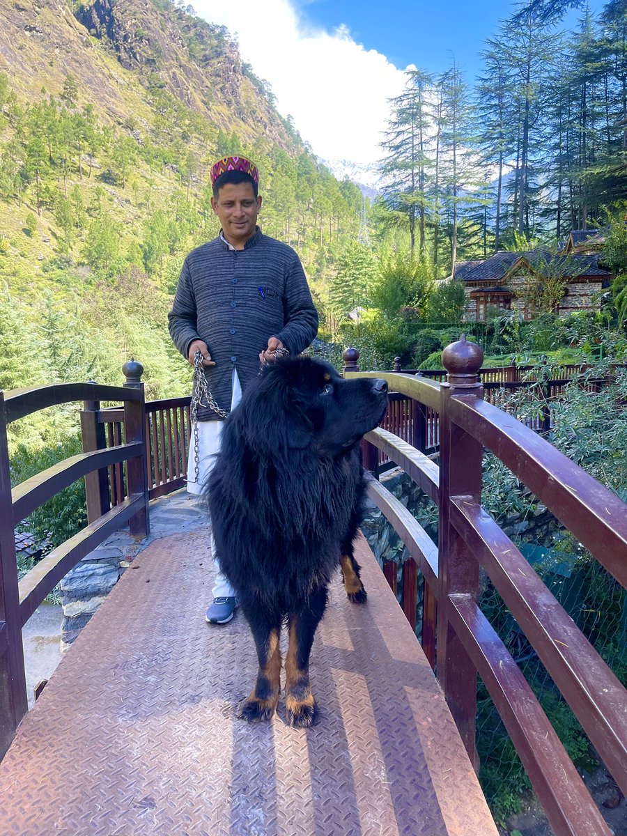 kailashathv's tweet photo. Timelapse❤️ #thehimalayanvillage #parvativalley #kasol #himachal #himachali #beauty #organicgarden #mudplastering #cottages #ecofriendly #petfriendlyhotel #riverside #valleyofflowers #manikaransahib #hotspringmanikaran #himachalvillages  9805072712 https://t.co/dU5r5YyVni https://t.co/SerZDVyfqM