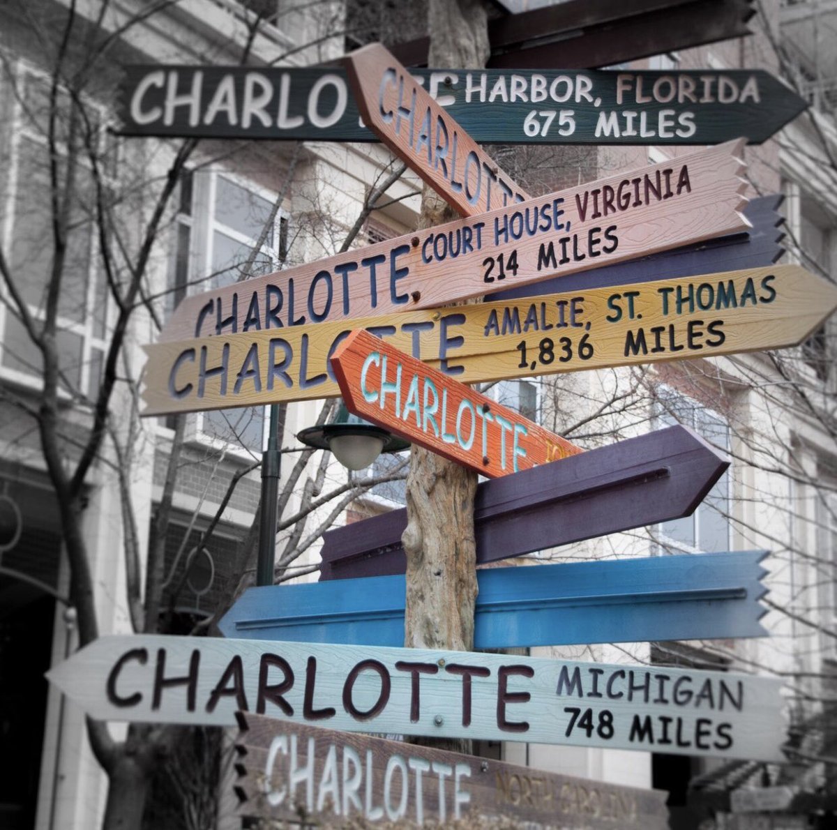 Jessiecharlotty's tweet photo. Oh my, there are so many names for her, which way should I go? I am confused.🥹🫣🌻🤍
#Smileyselcaday
#CharlotteAustin
#ชาล็อตออสติน https://t.co/RDWAUIMdeh