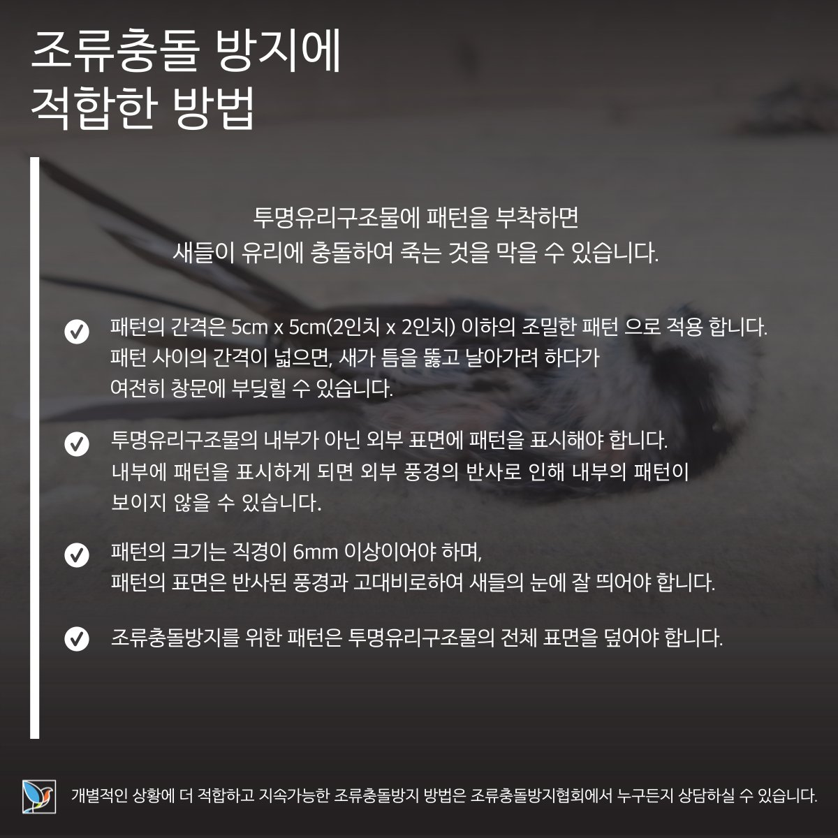 bcpakorea's tweet photo. 우리나라에서 연간 800만 마리의 새들이 조류충돌로 폐사하고있습니다. 새들이 새답게, 새들이 새롭게 하늘을 나는 세상을 위해 조류충돌방지협회와 함께해 주세요!
#세이브버즈 #SaveBirdsTogether #SaveBirdsKR
https://t.co/qYemwxai87 https://t.co/Hm021UMIq1