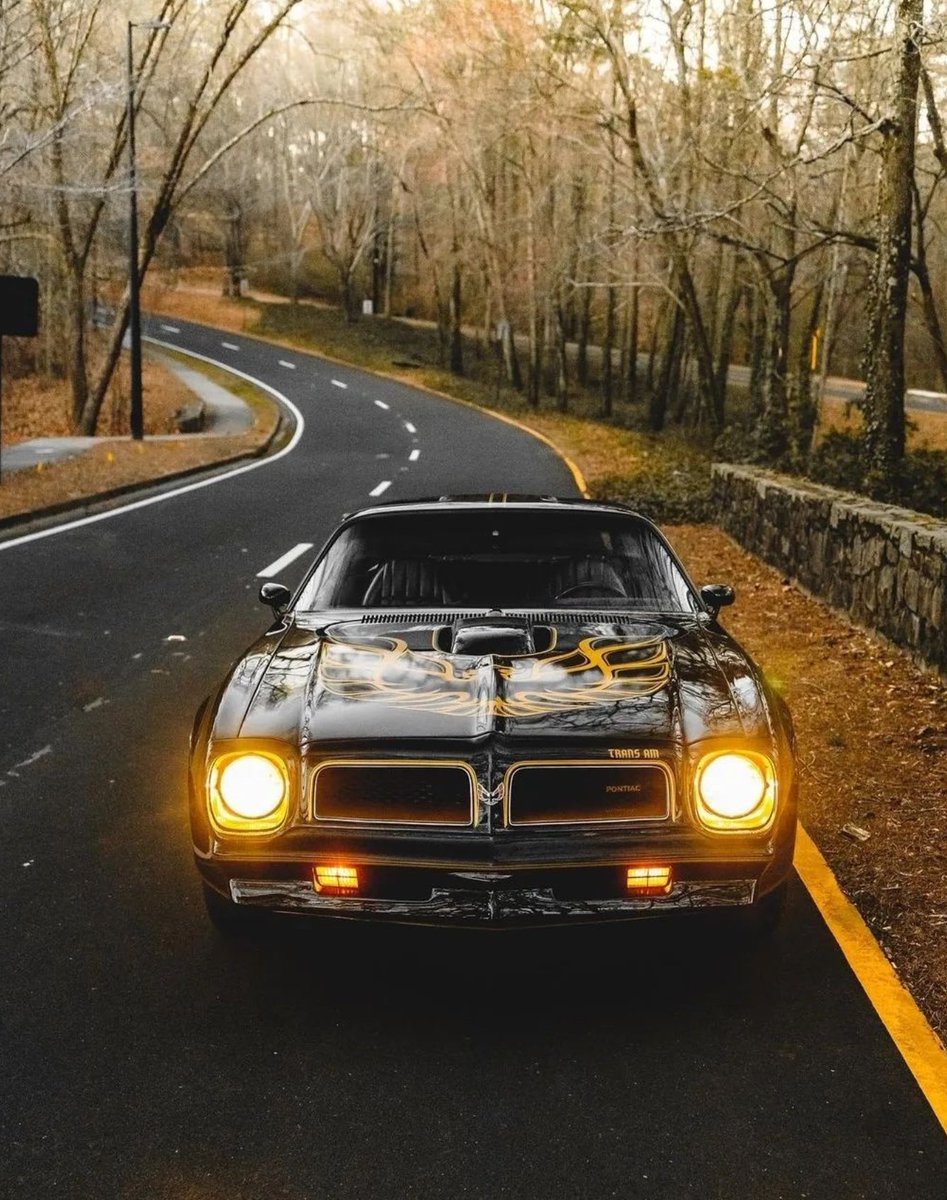 kmandei3's tweet photo. Fantastic #FrontEndFriday Finally https://t.co/MFqOg3lnPJ