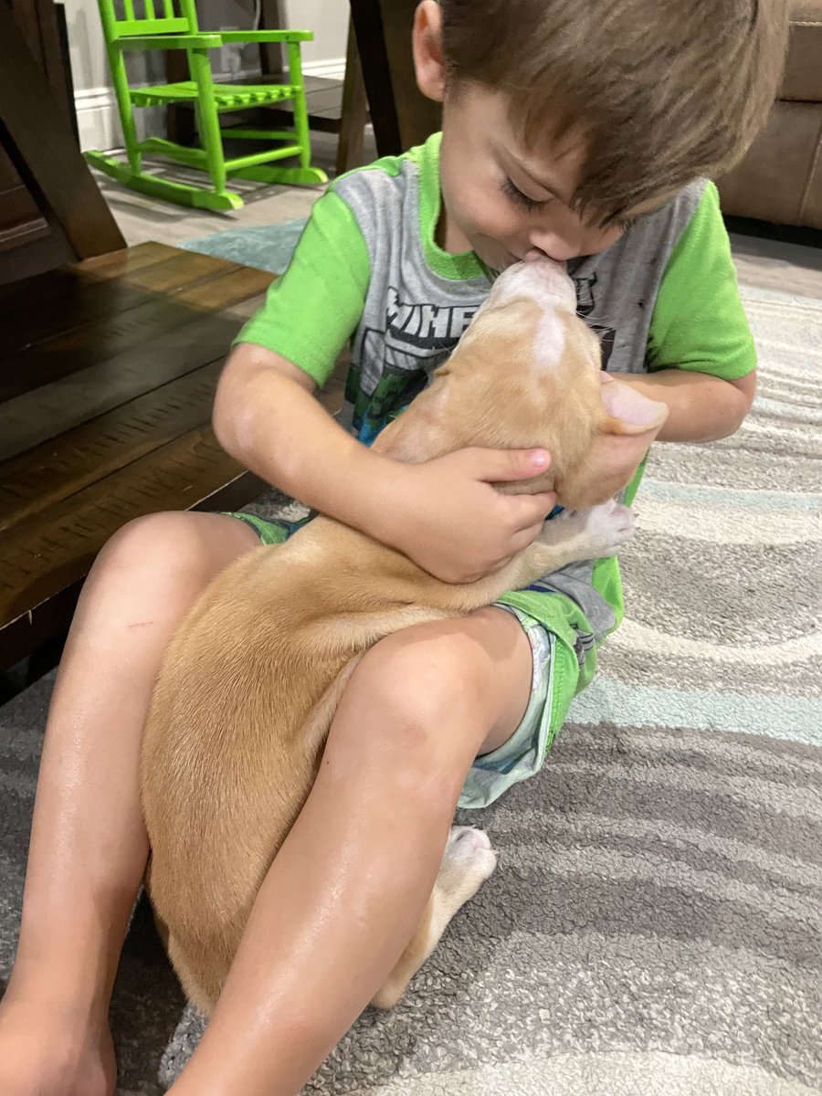 BrownieTurd's tweet photo. Baby kisses #puppylove #puppyturd #turdfirst #tinyturd #aboyandhisdog https://t.co/4wy8Nlpscz