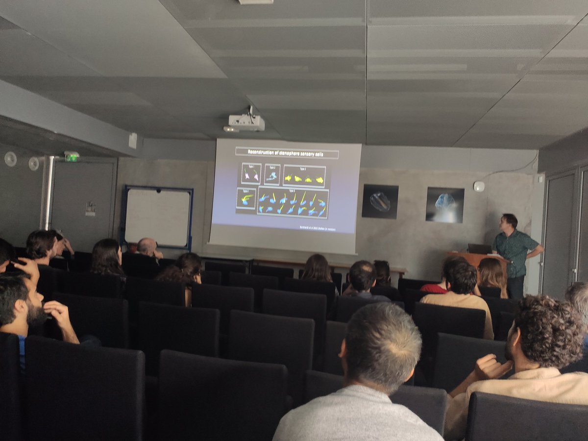 juliar_mateu's tweet image. The PhD students and postdocs @biodev_vlfr @IMEV_mer had a great day hosting Dr @Pawel_Burkhardt . Thank you for sharing your beautiful work. It’s been a pleasure hosting you at the lab and exchanging science with you. Come back soon!
