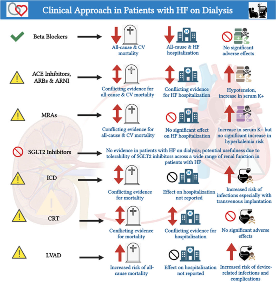SeguraCardio's tweet photo. 📌Managing #HeartFailure in 👥 on #Dialysis: 

#StateOfTheArt #Review #CardioEd #Cardiotwitter https://t.co/RLLc1JhW6Q