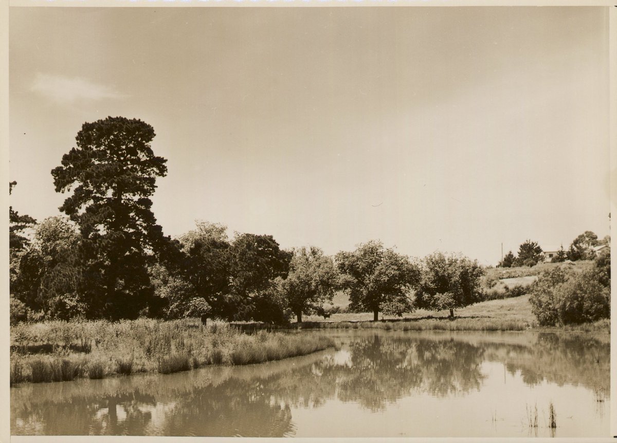 KeilorHistSoc's tweet photo. Stay safe out there everyone 🌧️ 

Here’s the Maribyrnong River near Keilor on a slightly more calm day in the 1950s.

📸 Les Rutledge ca. 1950 (credit: @Library_Vic) https://t.co/otIaf14rPk