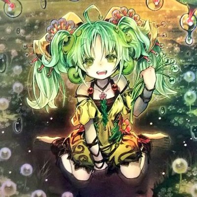 匿名配送可能 セラの蠱惑魔 遊戯王 公式スリーブ 未開封 fkip.unmul.ac.id