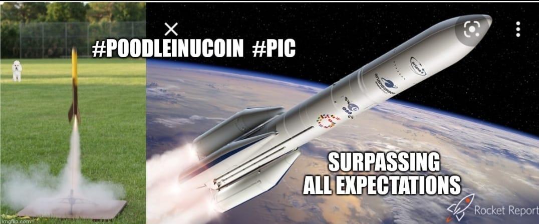 hercryptohunter's tweet photo. About to fly #Poodleinucoin https://t.co/Z3M4S5mTdA