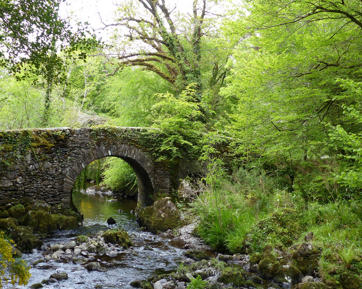 EPAIreland's tweet image. Our latest ‘Water Quality in Ireland Report 2016-2021’ shows that Ireland’s surface waters and groundwaters remain under pressure from human activity. Nearly half (46%) of our rivers, lakes, estuaries and coastal waters are not in satisfactory condition. 🔗bit.ly/3EE3jb3