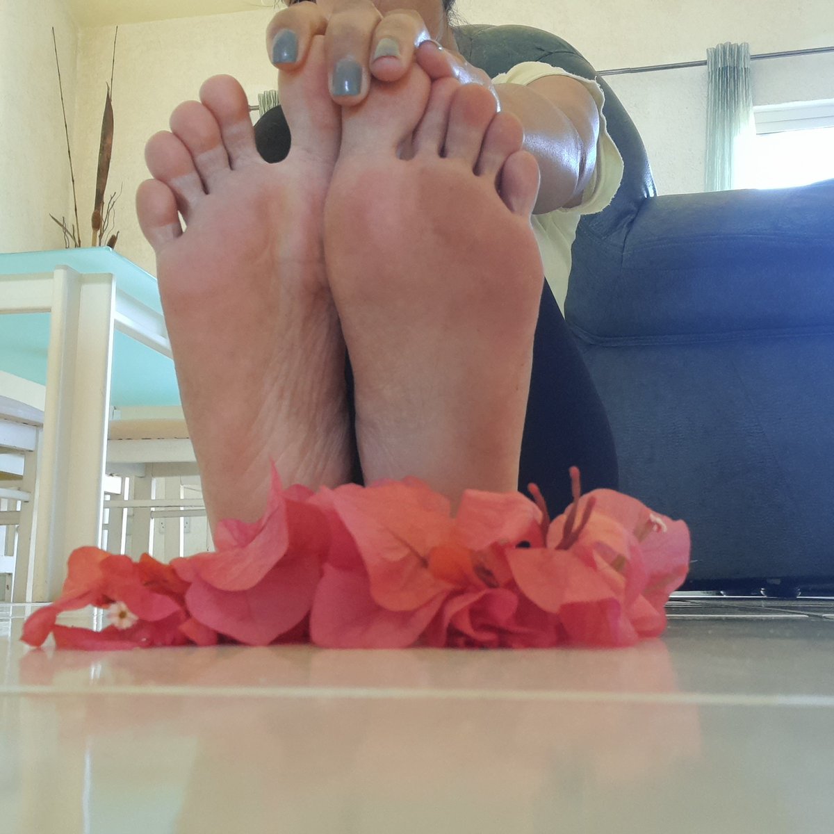 DollMiha's tweet photo. 🌸🌸🌸

#feet #feetfetiche #feetpictures #feetworshi̇p #sole #feetoftheday https://t.co/FyDz543fqq