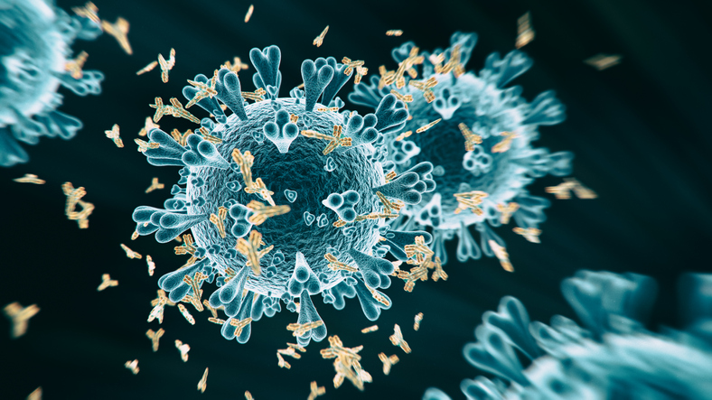 Karolinska Institutet (@karolinskainst) on Twitter photo A study by @benjmurrell et al shows that #SARSCoV2 #Omicron sublineage BA.2.75.2 largely evades neutralizing antibodies in the blood and is resistant to several monoclonal antibody antiviral treatments. Now published in <a href="/TheLancetInfDis/">The Lancet Infectious Diseases</a>.
news.ki.se/new-omicron-su… A study by @benjmurrell et al shows that #SARSCoV2 #Omicron sublineage BA.2.75.2 largely evades neutralizing antibodies in the blood and is resistant to several monoclonal antibody antiviral treatments. Now published in <a href="/TheLancetInfDis/">The Lancet Infectious Diseases</a>.
news.ki.se/new-omicron-su…