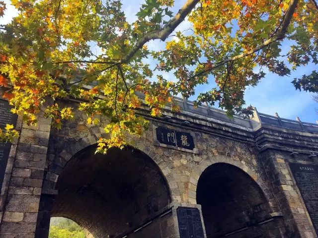 GrottoesLongmen's tweet photo. The golden sun shines on the lake, and the cool wind rolls up colorful leaves. This is a unique view that can only be enjoyed in Longmen in autumn.
#autumn #LongmenGrottoes https://t.co/GT2oG6RttF