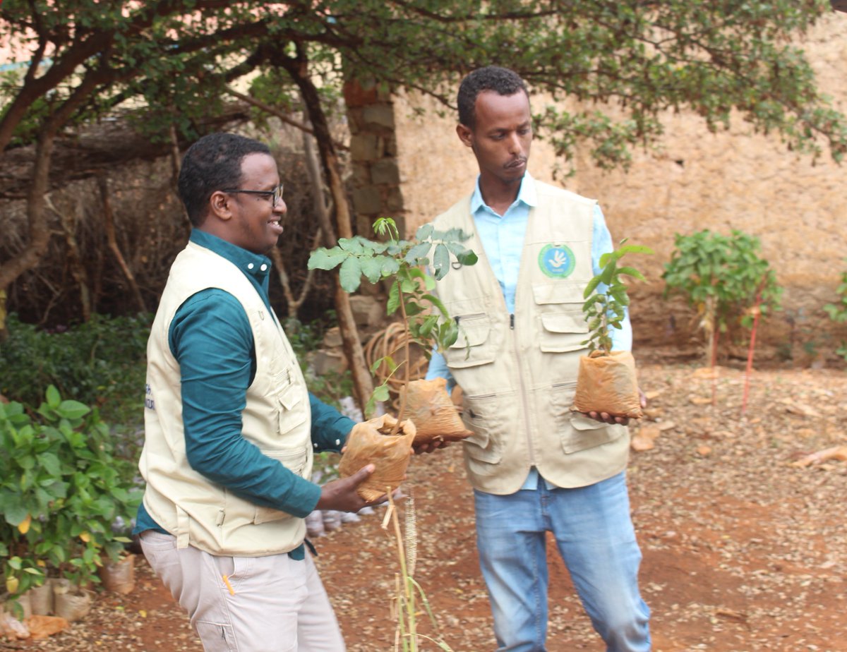 Kalkal Human Rights Development Organization (@kalkalhuman) on Twitter photo If you cut a tree, you kill a life. @icpac_igad
@ICPALD
<a href="/Ict011/">ISIOLO CONSERVATIONISTS TRUST (ICT011)</a> <a href="/Ict011/">ISIOLO CONSERVATIONISTS TRUST (ICT011)</a> <a href="/iChongqing_CIMC/">iChongqing</a> @_ICEPCVE <a href="/ICCAConsortium/">ICCA Consortium</a> <a href="/ICC/">ICC</a> <a href="/TC_icisleri/">T.C. İçişleri Bakanlığı</a> <a href="/ASICDnonprofit/">Advocates for Social Inclusion & Community Devel.</a> <a href="/alphayouth_spc/">Alliance of Public Health Advocates</a> <a href="/Awapsa1/">ADVOCACY FOR WOMEN IN PEACE AND SECURITY AFRICA</a> <a href="/CHR_HumanRights/">CentreForHumanRights</a> <a href="/yfopafrica/">Youth for Our Planet Africa</a> <a href="/YouthOurPlanet/">Youth for Our Planet</a> <a href="/KenyaYfop/">Youth for Our Planet Kenya</a> <a href="/YouthOurPlanet/">Youth for Our Planet</a> <a href="/GathariSam/">Sam Gatige Gathari🇰🇪-Influencer #PlantMoreTrees</a> <a href="/plant/">plant</a> <a href="/yfopZambia/">Youth for Our Planet Zambia</a> If you cut a tree, you kill a life. @icpac_igad
@ICPALD
<a href="/Ict011/">ISIOLO CONSERVATIONISTS TRUST (ICT011)</a> <a href="/Ict011/">ISIOLO CONSERVATIONISTS TRUST (ICT011)</a> <a href="/iChongqing_CIMC/">iChongqing</a> @_ICEPCVE <a href="/ICCAConsortium/">ICCA Consortium</a> <a href="/ICC/">ICC</a> <a href="/TC_icisleri/">T.C. İçişleri Bakanlığı</a> <a href="/ASICDnonprofit/">Advocates for Social Inclusion & Community Devel.</a> <a href="/alphayouth_spc/">Alliance of Public Health Advocates</a> <a href="/Awapsa1/">ADVOCACY FOR WOMEN IN PEACE AND SECURITY AFRICA</a> <a href="/CHR_HumanRights/">CentreForHumanRights</a> <a href="/yfopafrica/">Youth for Our Planet Africa</a> <a href="/YouthOurPlanet/">Youth for Our Planet</a> <a href="/KenyaYfop/">Youth for Our Planet Kenya</a> <a href="/YouthOurPlanet/">Youth for Our Planet</a> <a href="/GathariSam/">Sam Gatige Gathari🇰🇪-Influencer #PlantMoreTrees</a> <a href="/plant/">plant</a> <a href="/yfopZambia/">Youth for Our Planet Zambia</a>